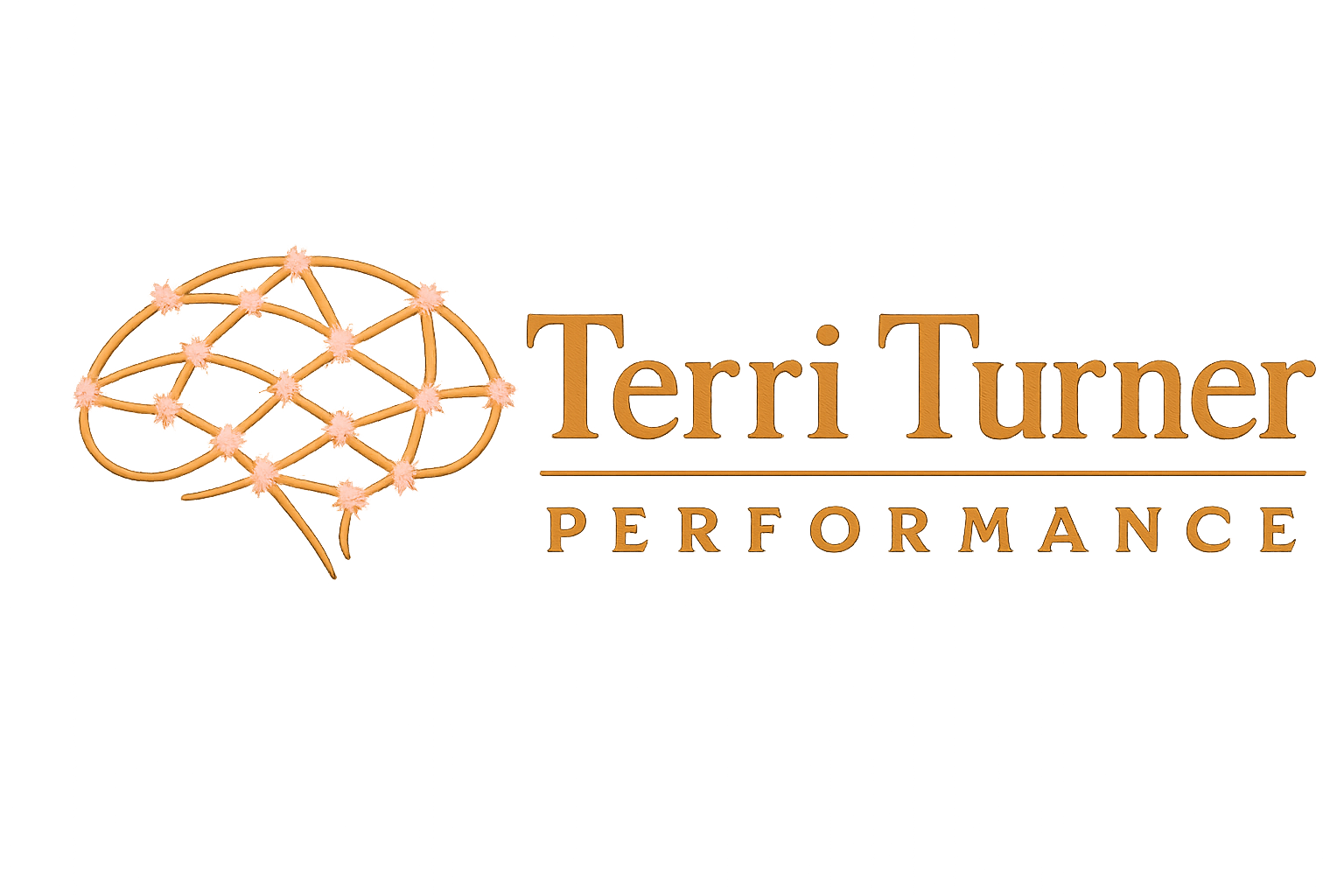 Terri Turner Performance
